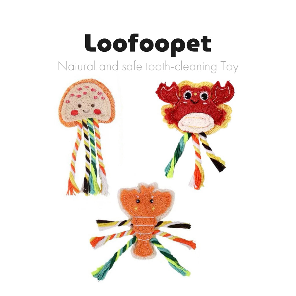 Natural Loofah Pet Toy – Eco-Friendly, Chew Toys Biodegradable & Non-Toxic Chew Toy for Dogs & Cats