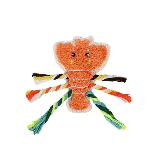 Natural Loofah Pet Toy – Eco-Friendly, Chew Toys Biodegradable & Non-Toxic Chew Toy for Dogs & Cats（副本）