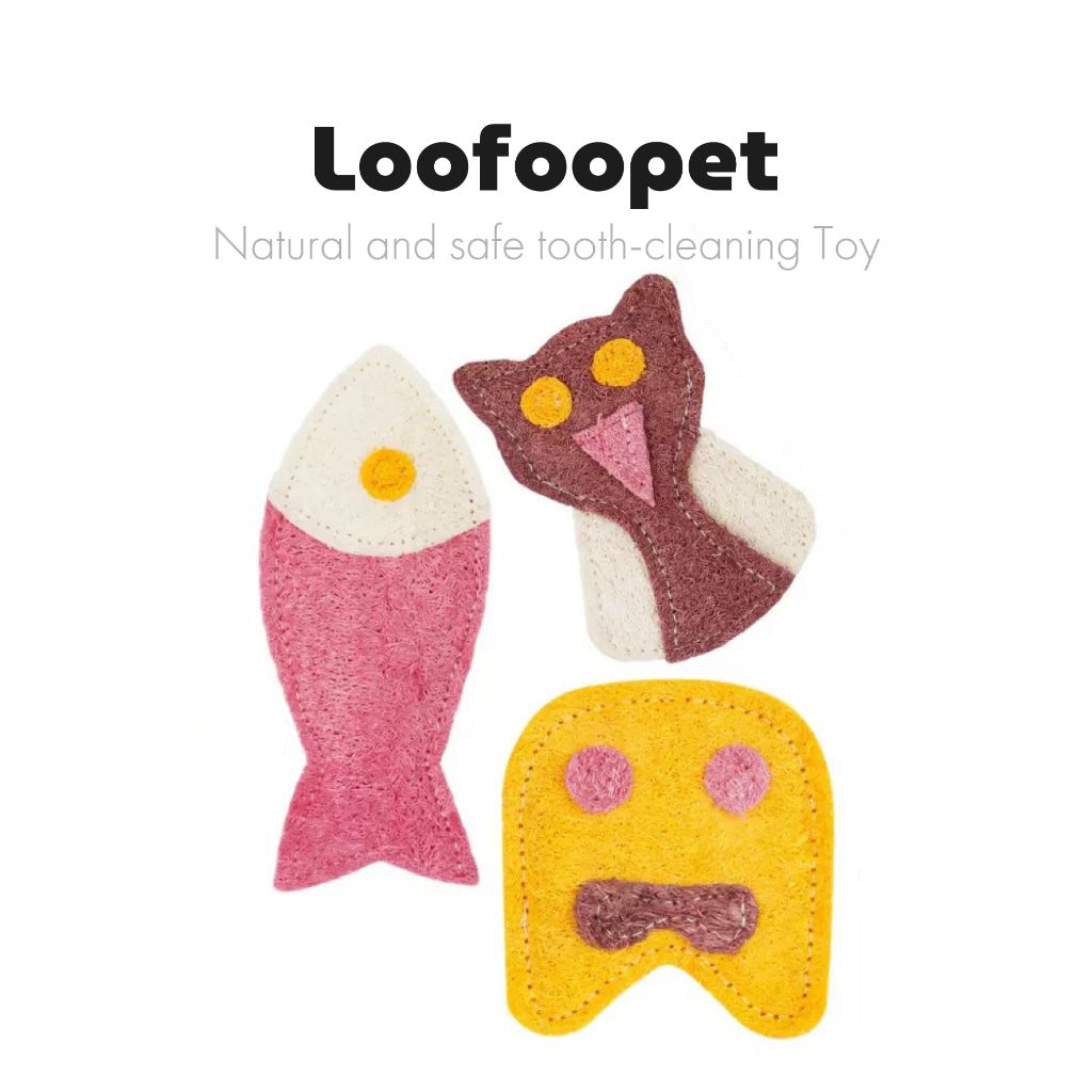 Natural Loofah Pet Toy – Eco-Friendly, Chew Toys Biodegradable & Non-Toxic Chew Toy for Dogs & Cats